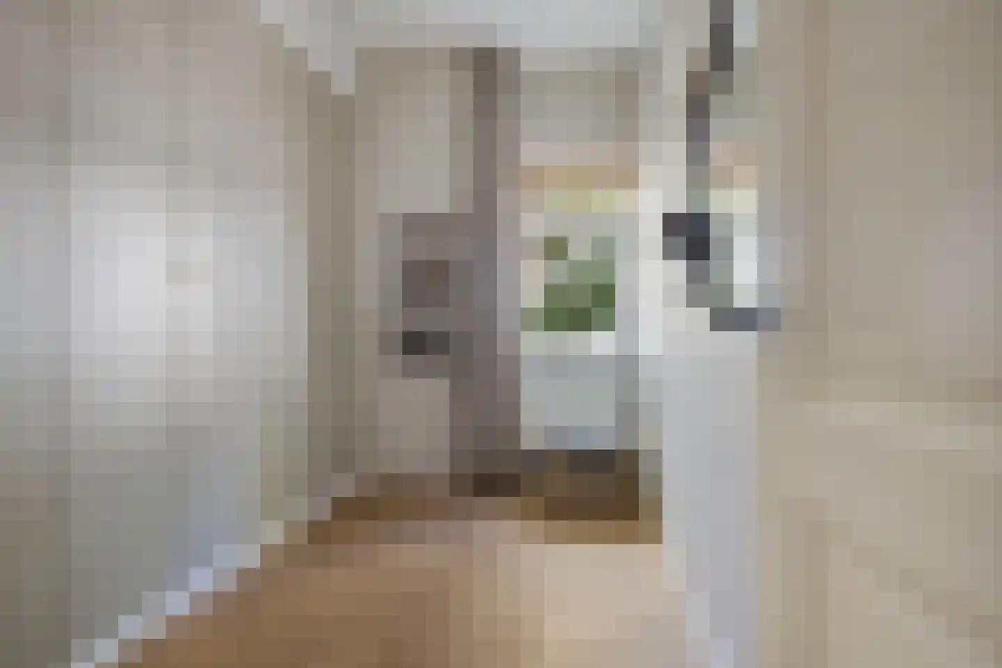 Jan Bertsstraat 18 Diemen thumbnail 9