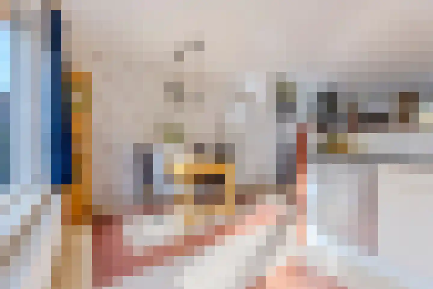 Jan Bestevaerstraat 33 Koog aan de Zaan thumbnail 11