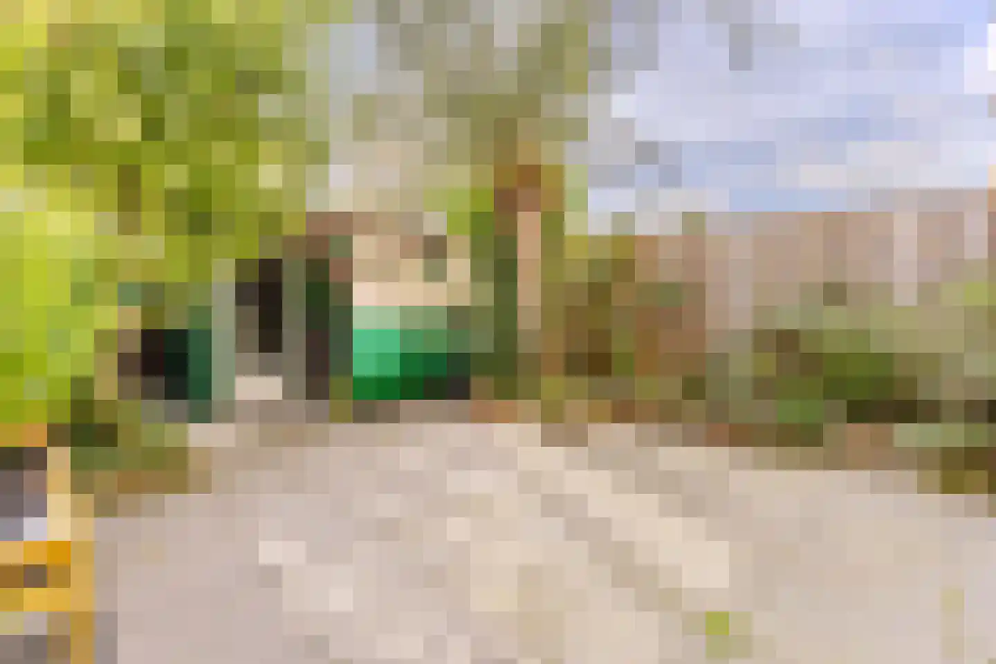 Jan Bestevaerstraat 33 Koog aan de Zaan thumbnail 12