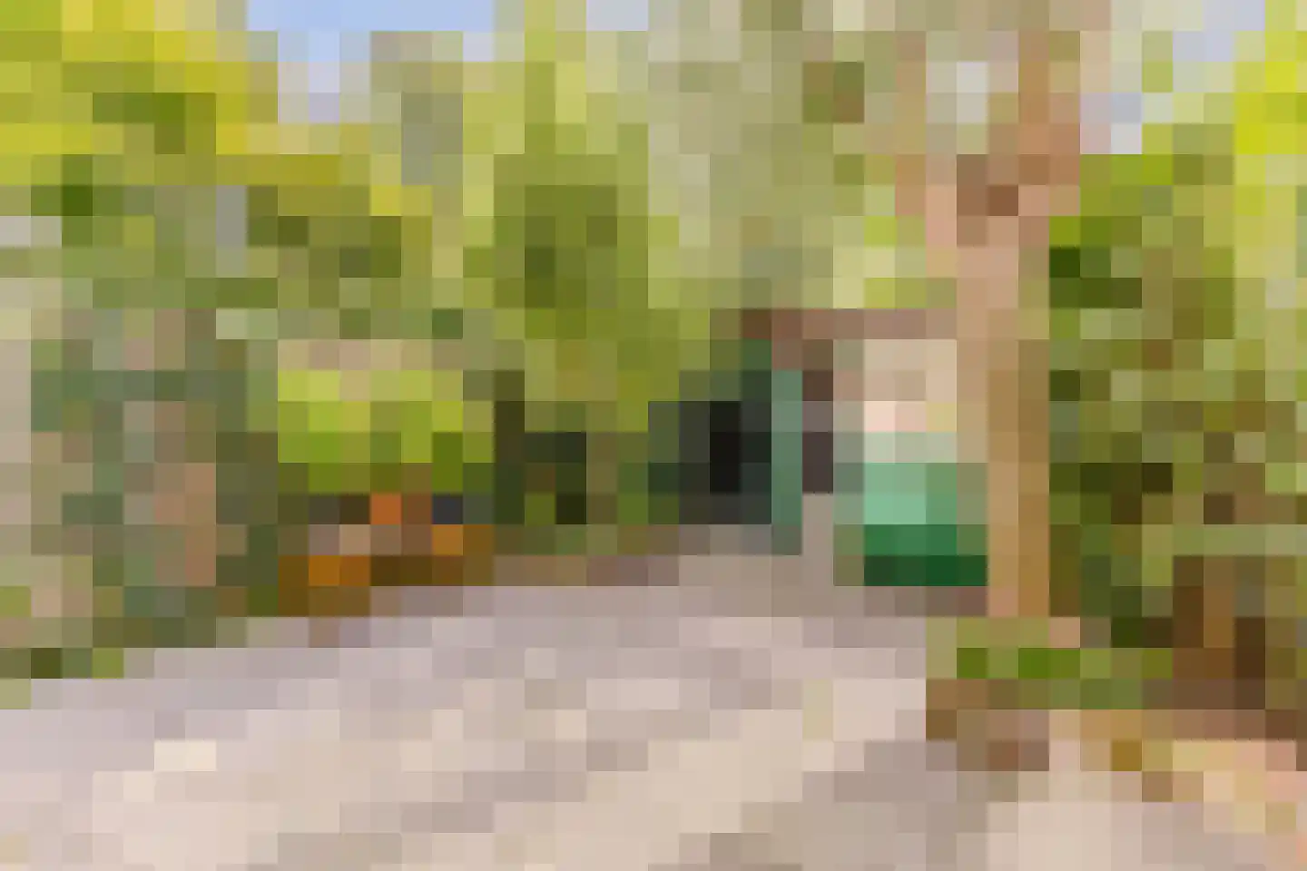 Jan Bestevaerstraat 33 Koog aan de Zaan thumbnail 13