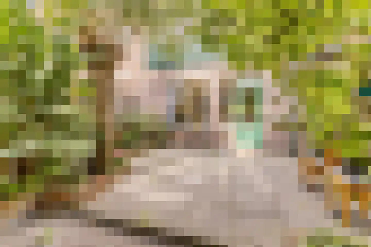 Jan Bestevaerstraat 33 Koog aan de Zaan thumbnail 15