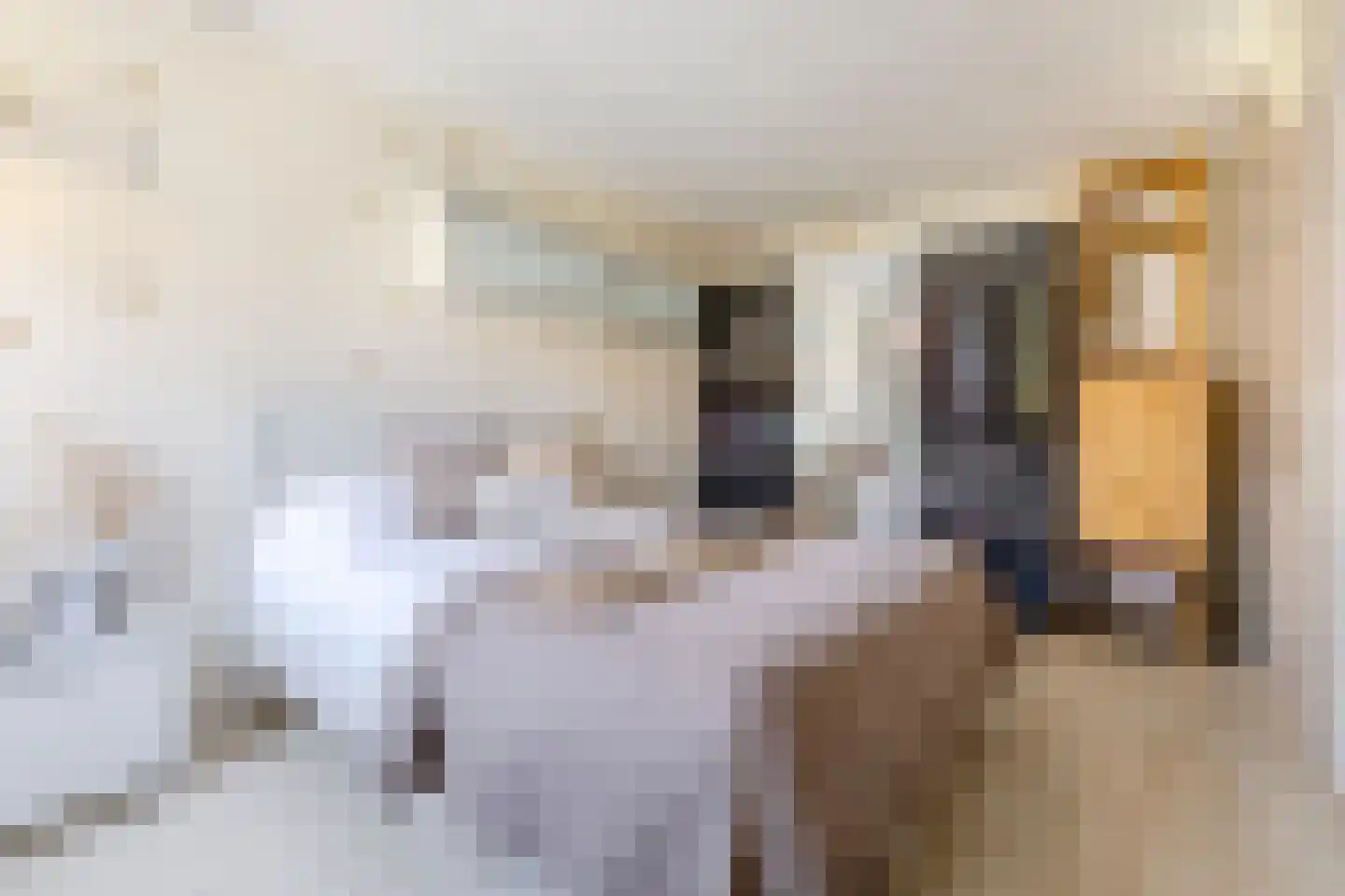 Jan Bestevaerstraat 33 Koog aan de Zaan thumbnail 22