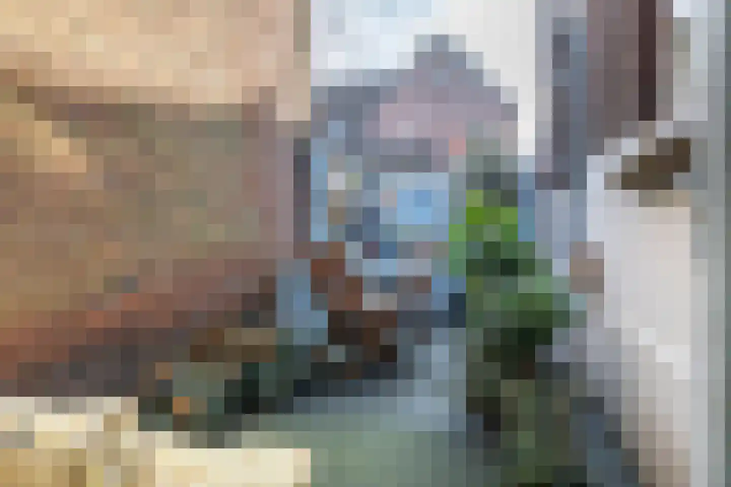 Jan Bestevaerstraat 60 A Koog aan de Zaan thumbnail 25