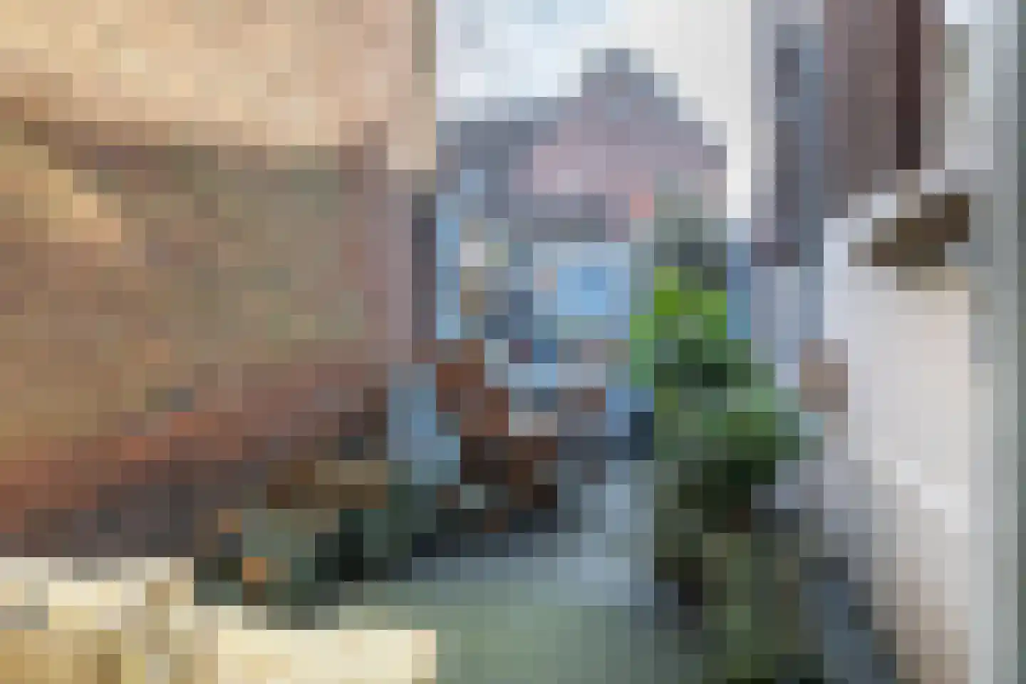 Jan Bestevaerstraat 60 A Koog aan de Zaan thumbnail 6