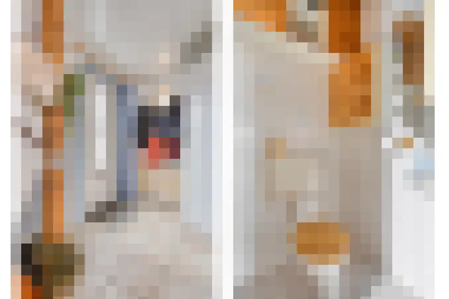 Jan Bijhouwerstraat 1 Purmerend thumbnail 6