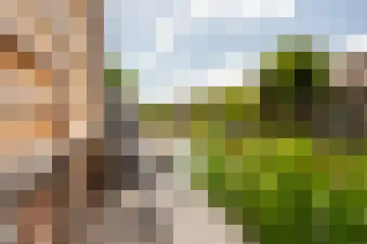 Jan Bijhouwerstraat 26 Purmerend thumbnail 38
