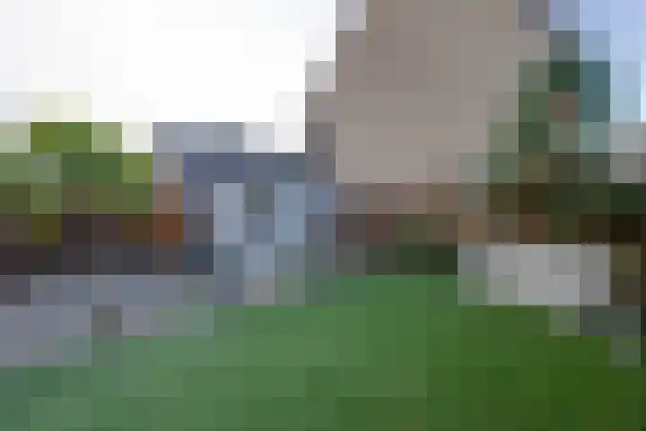 Jan Bijhouwerstraat 55 Purmerend thumbnail 32
