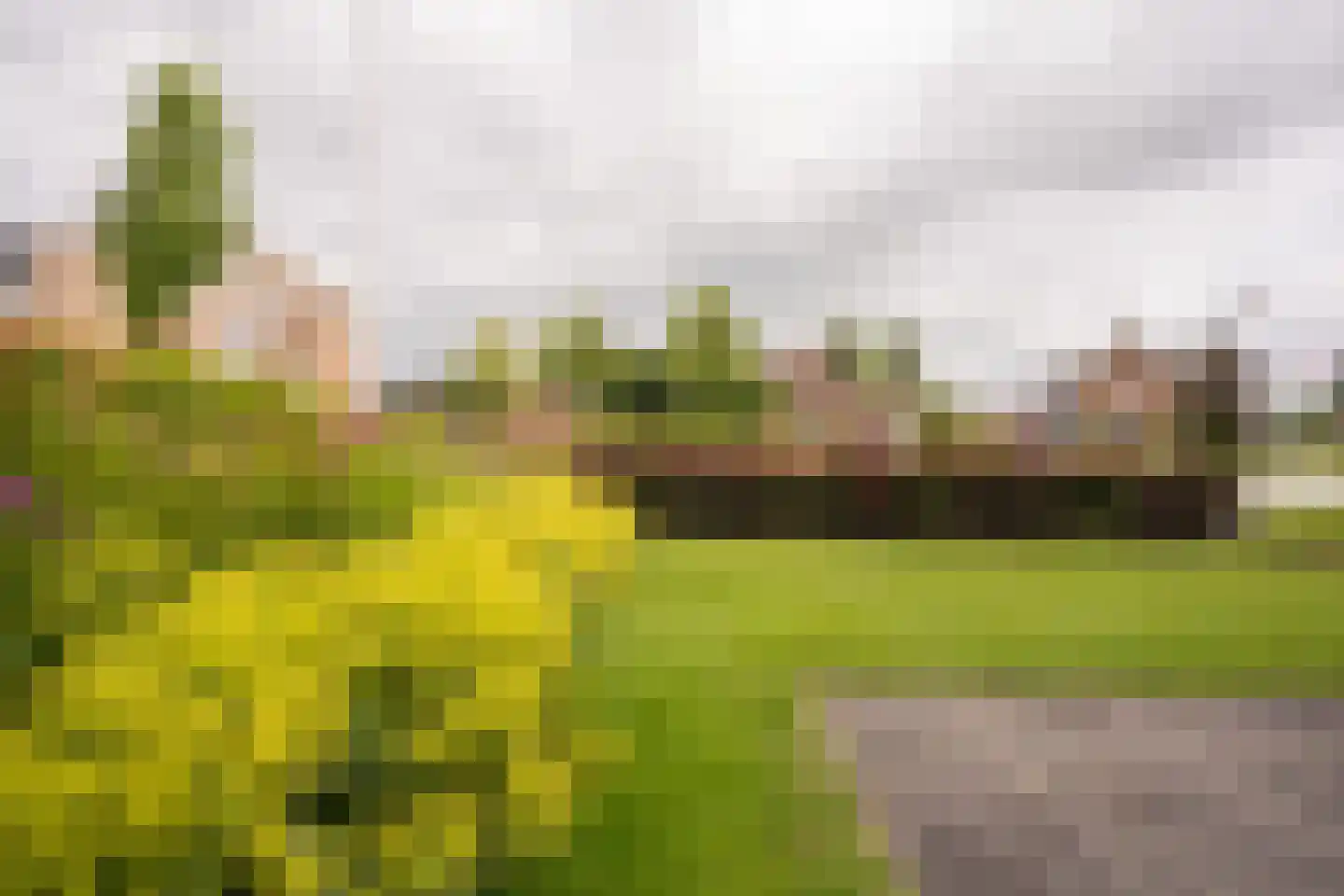 Jan Binneslaan 88 Surhuisterveen thumbnail 13