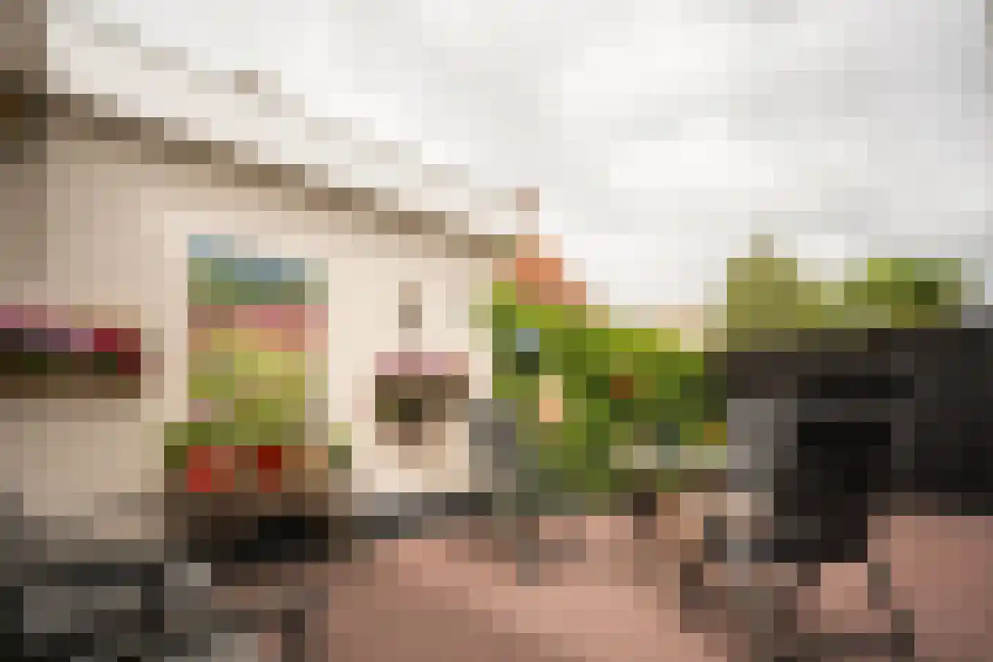 Jan Binneslaan 88 Surhuisterveen thumbnail 17