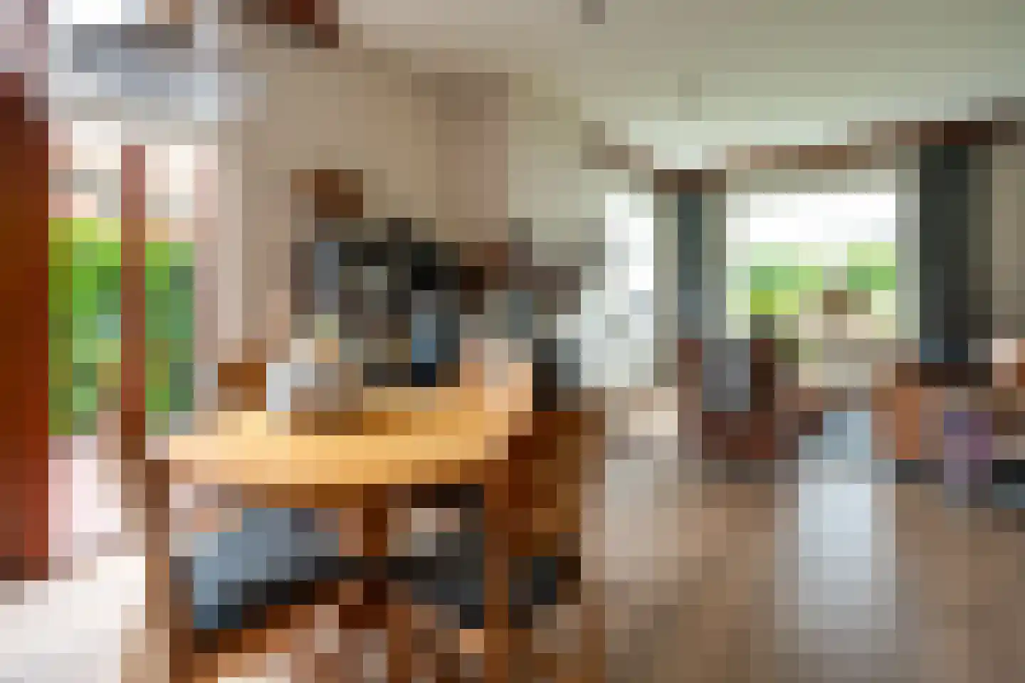 Jan Binneslaan 88 Surhuisterveen thumbnail 35