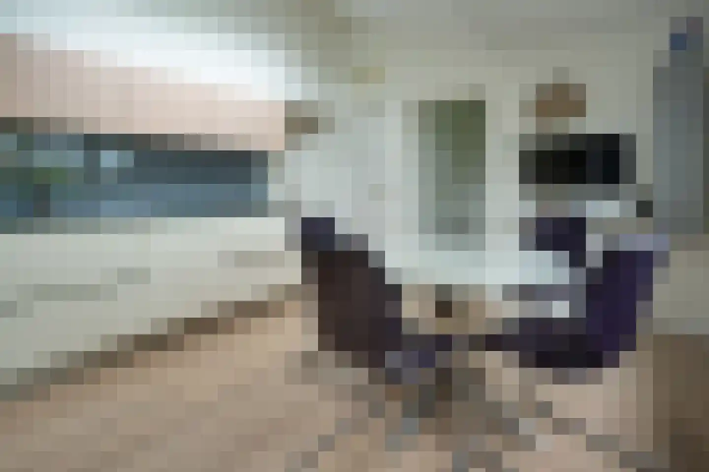 Jan Binneslaan 88 Surhuisterveen thumbnail 6