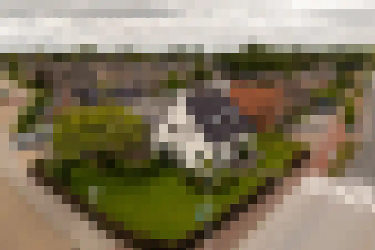 Jan Binneslaan 88 Surhuisterveen thumbnail 64