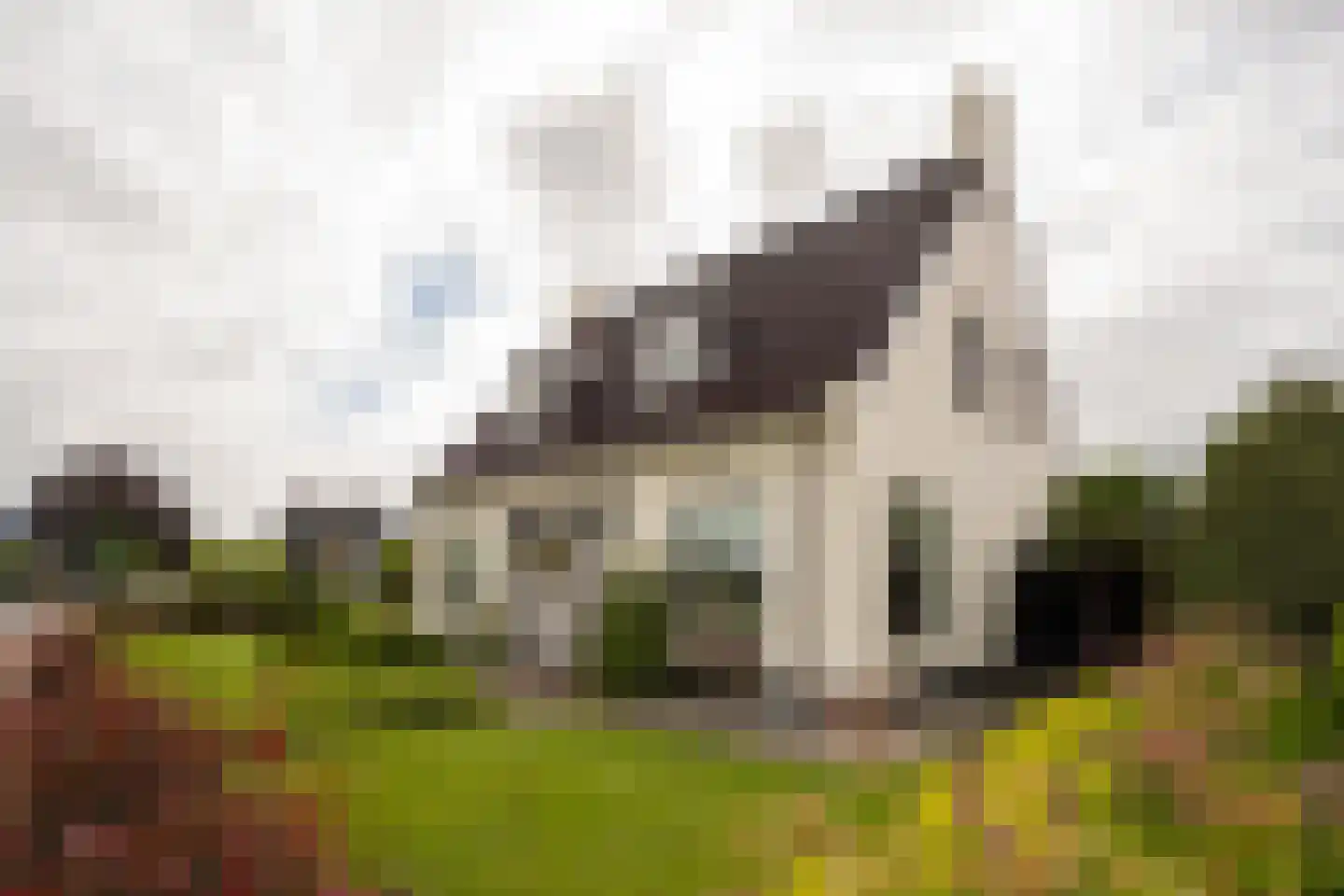 Jan Binneslaan 88 Surhuisterveen thumbnail 7