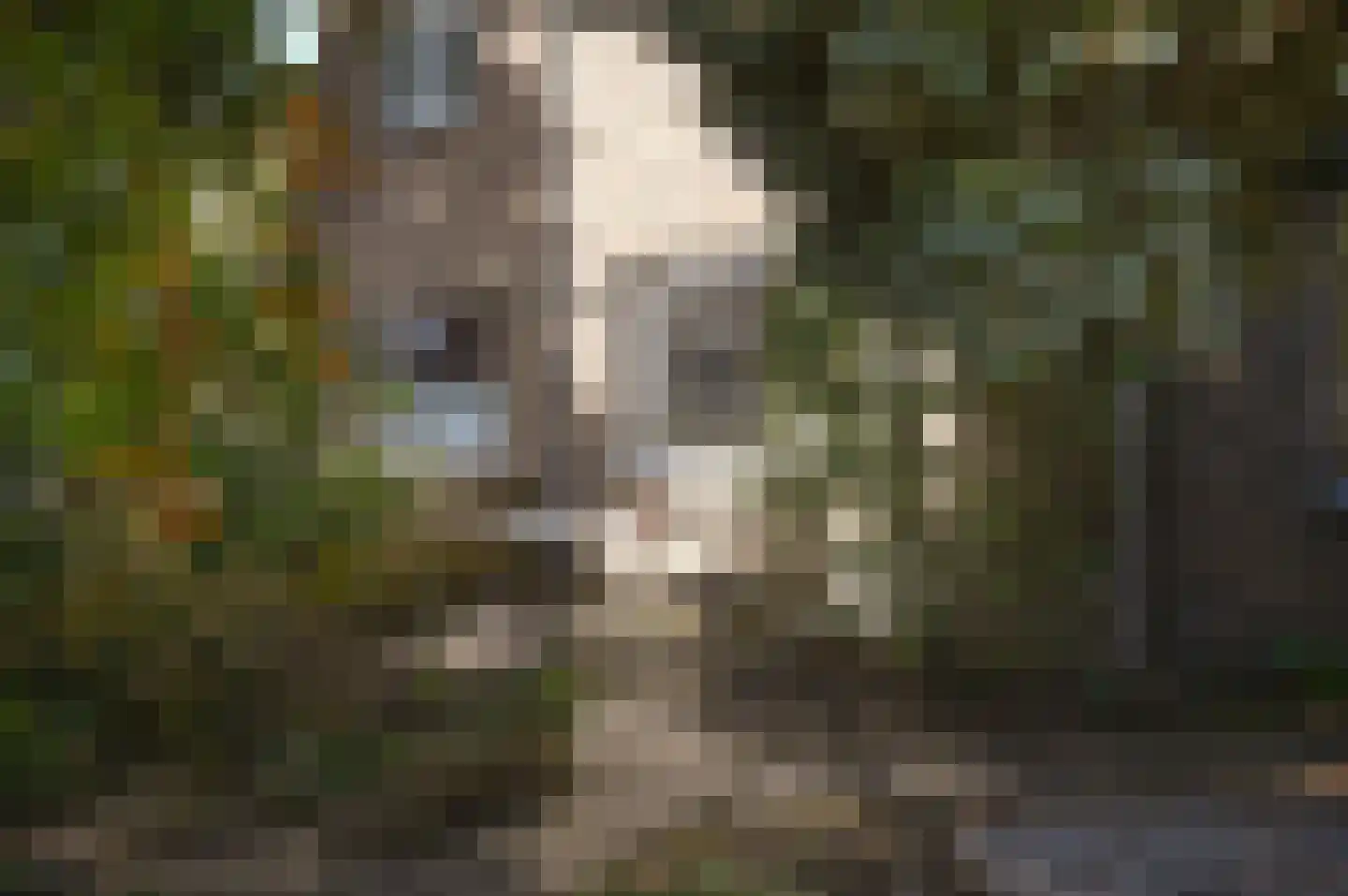 Jan Blankenlaan 1 Hilversum thumbnail 5