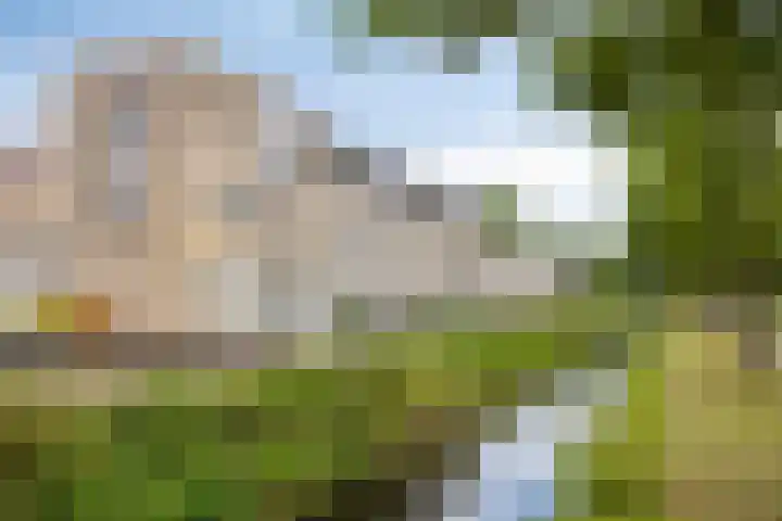 Jan Blankenpad 9 Deventer thumbnail 35