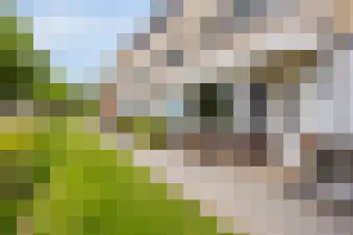 Jan Blankenpad 9 Deventer thumbnail 37