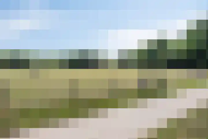 Jan Blankenpad 9 Deventer thumbnail 40