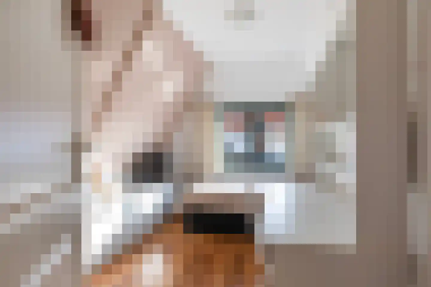 Jan Bogtstrastraat 15 Franeker thumbnail 32