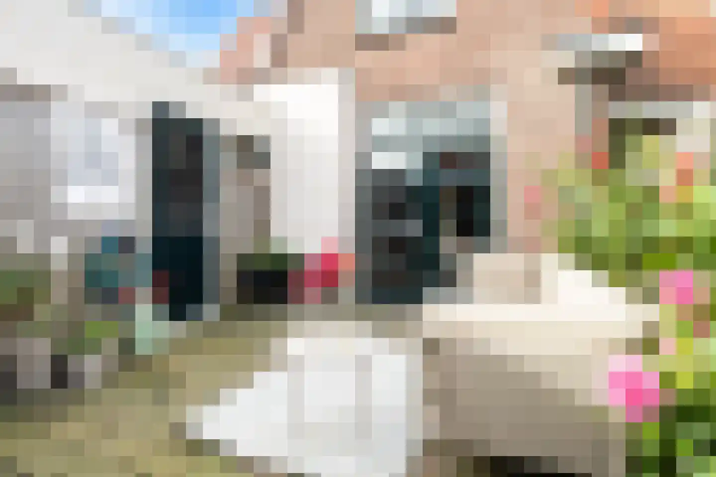 Jan Bogtstrastraat 15 Franeker thumbnail 44