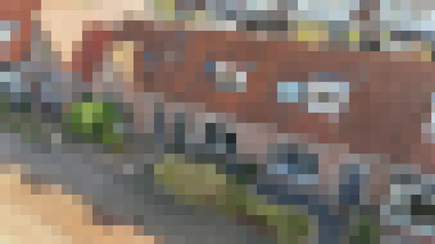 Jan Bogtstrastraat 19 Franeker thumbnail 47