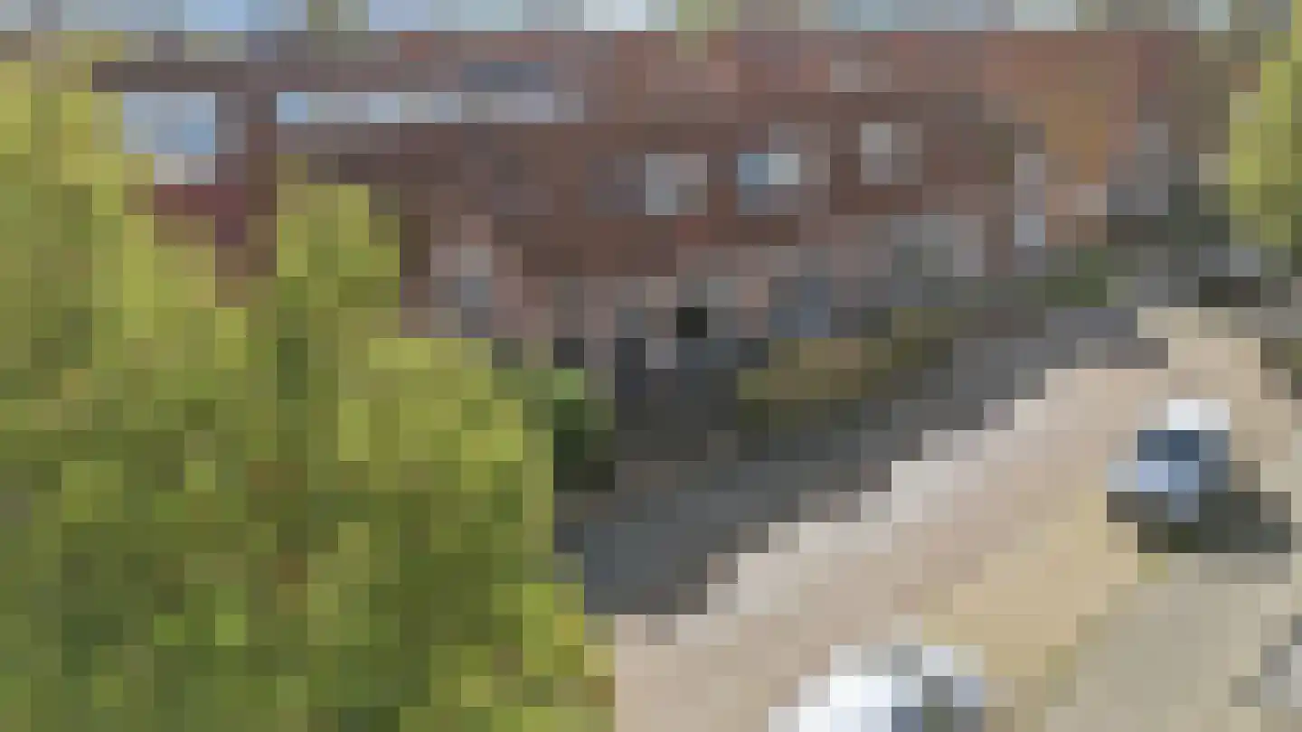 Jan Bogtstrastraat 19 Franeker thumbnail 48