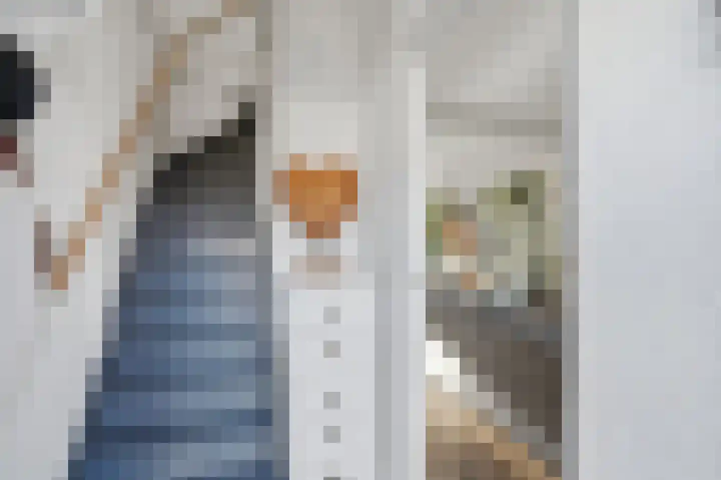 Jan Bogtstrastraat 19 Franeker thumbnail 7