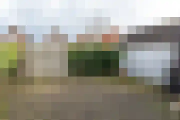 Jan Bogtstrastraat 3 Franeker thumbnail 21