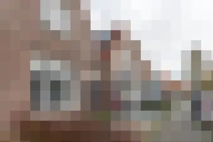 Jan Bogtstrastraat 3 Franeker thumbnail 25