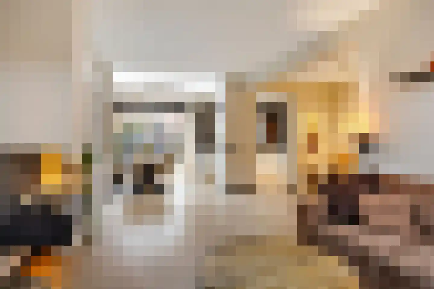 Jan Bollandlaan 19 Eindhoven thumbnail 12
