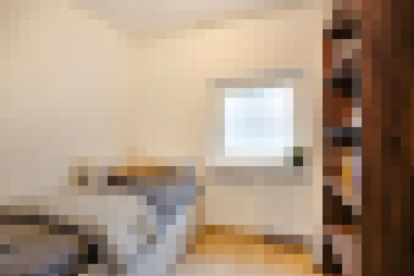 Jan Bollandlaan 19 Eindhoven thumbnail 23