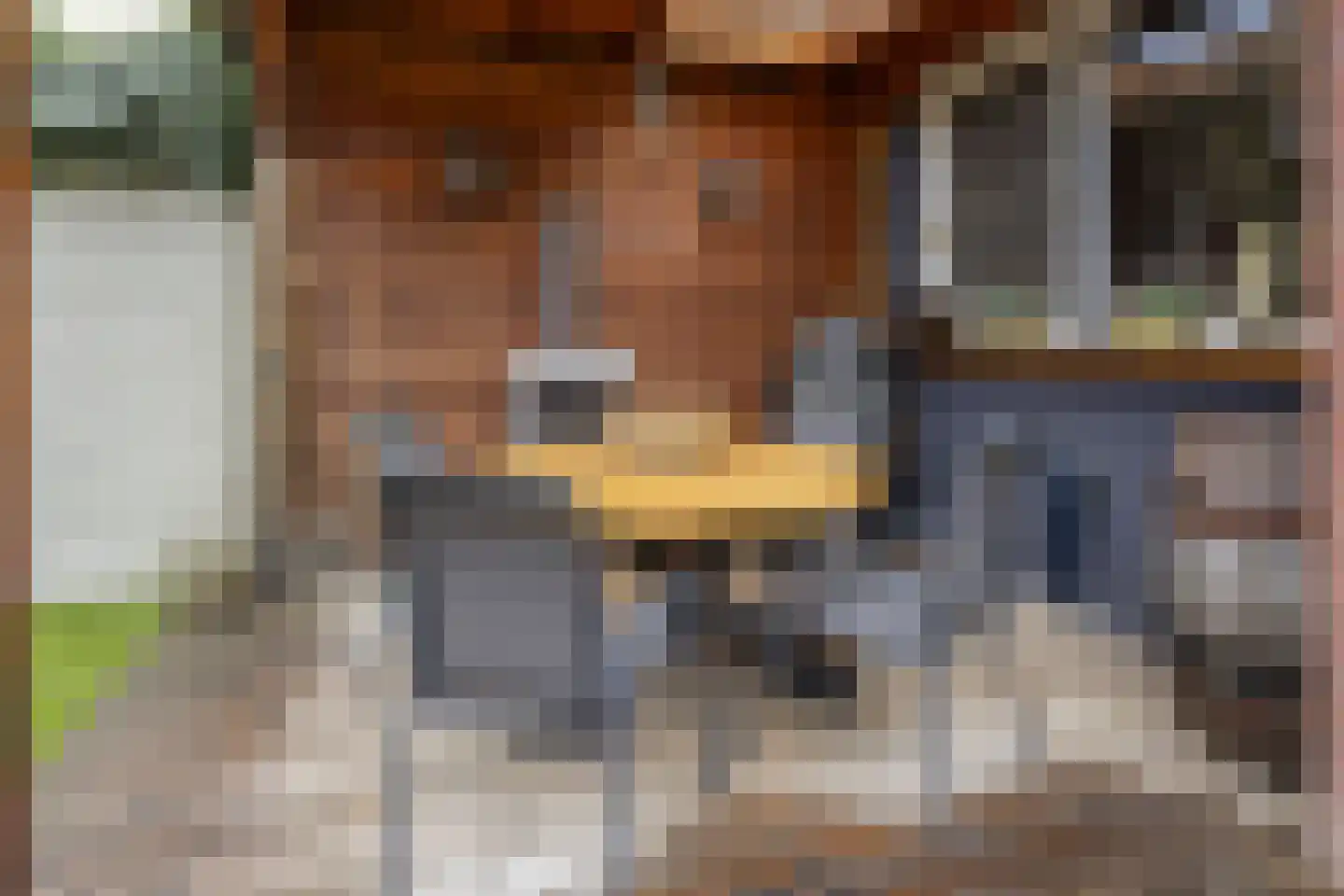 Jan Bollandlaan 19 Eindhoven thumbnail 31