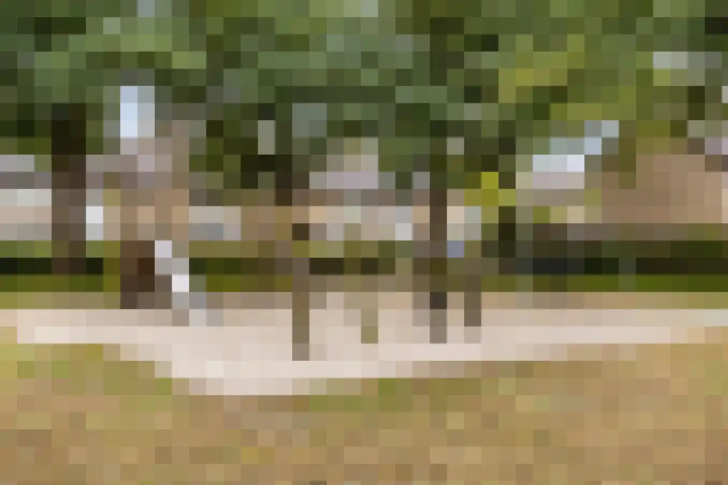 Jan Bollandlaan 19 Eindhoven thumbnail 38