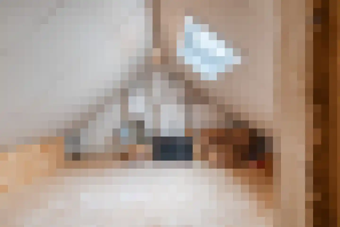 Jan Bollandlaan 20 Eindhoven thumbnail 26