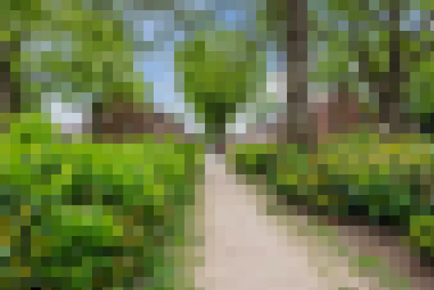 Jan Bollandlaan 20 Eindhoven thumbnail 34