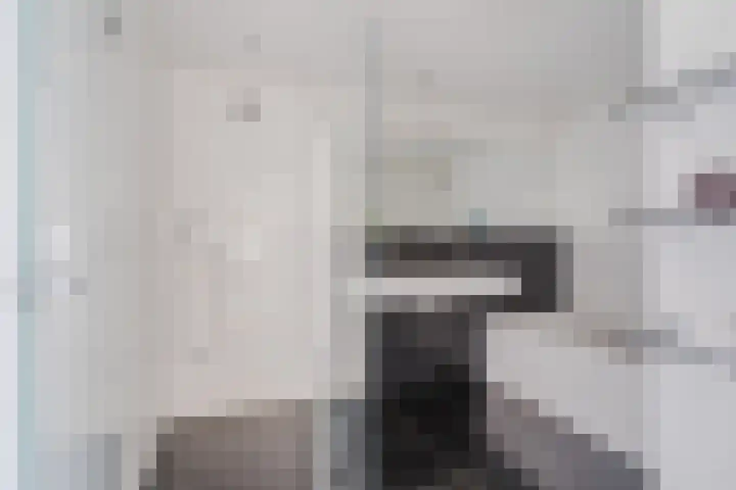 Jan Bonekampstraat 18 Zaandam thumbnail 33