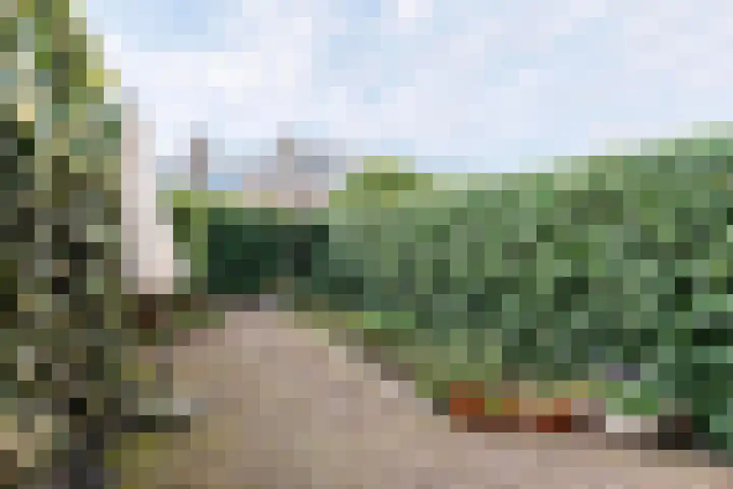 Jan Bontelaan 7 Haarlem thumbnail 12