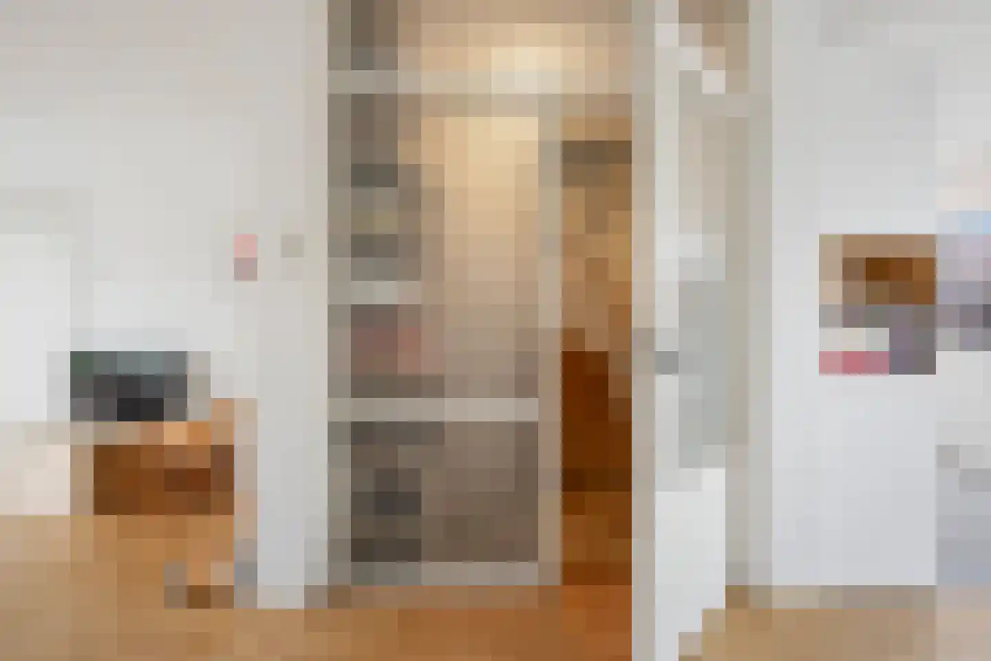 Jan Bontelaan 7 Haarlem thumbnail 15