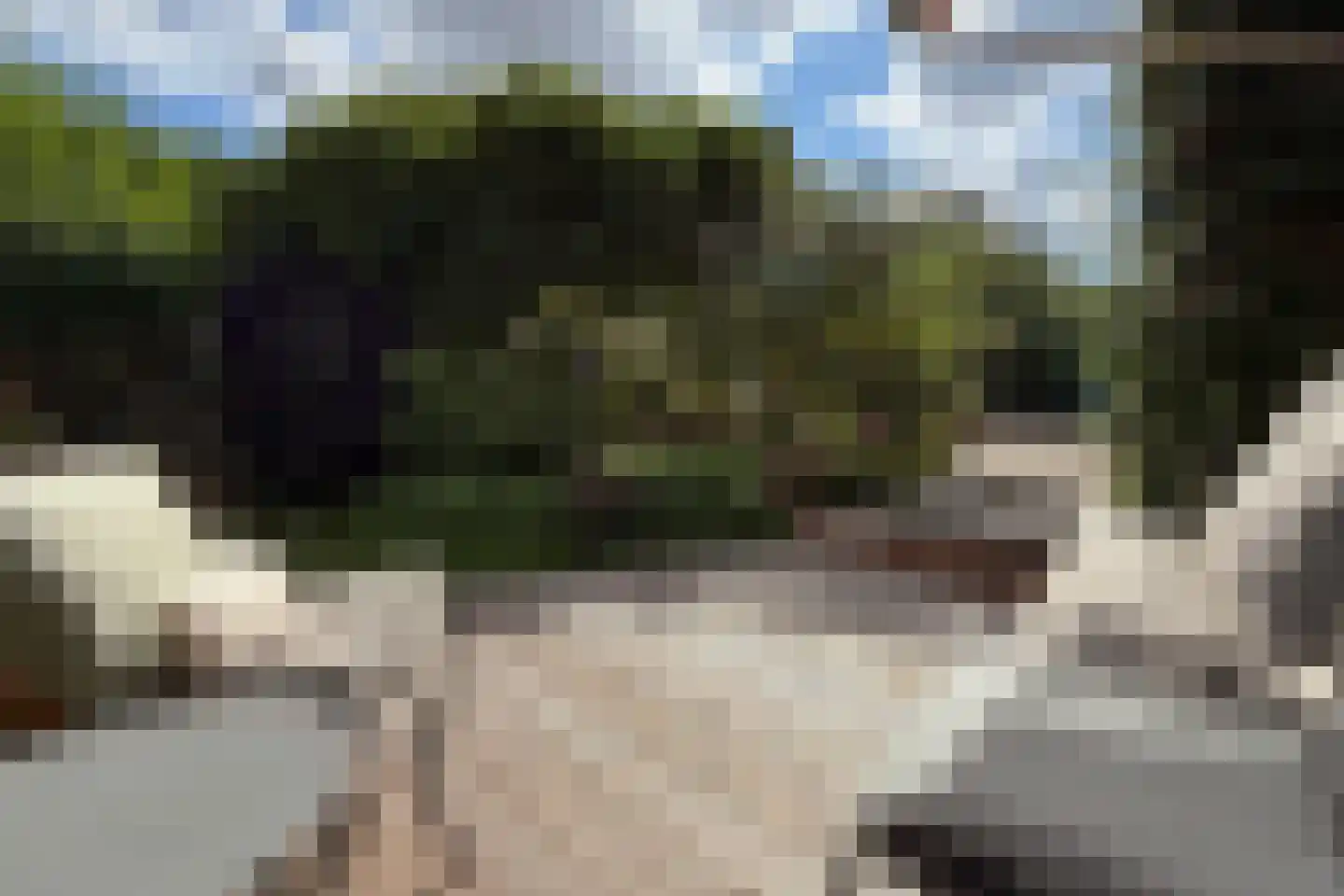 Jan Bontelaan 7 Haarlem thumbnail 29