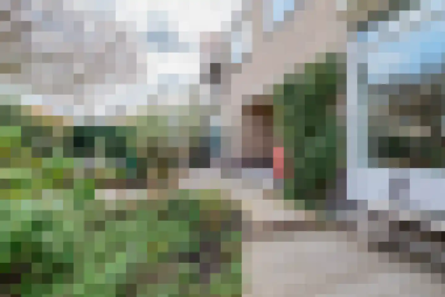 Jan Bontelaan 7 Haarlem thumbnail 31
