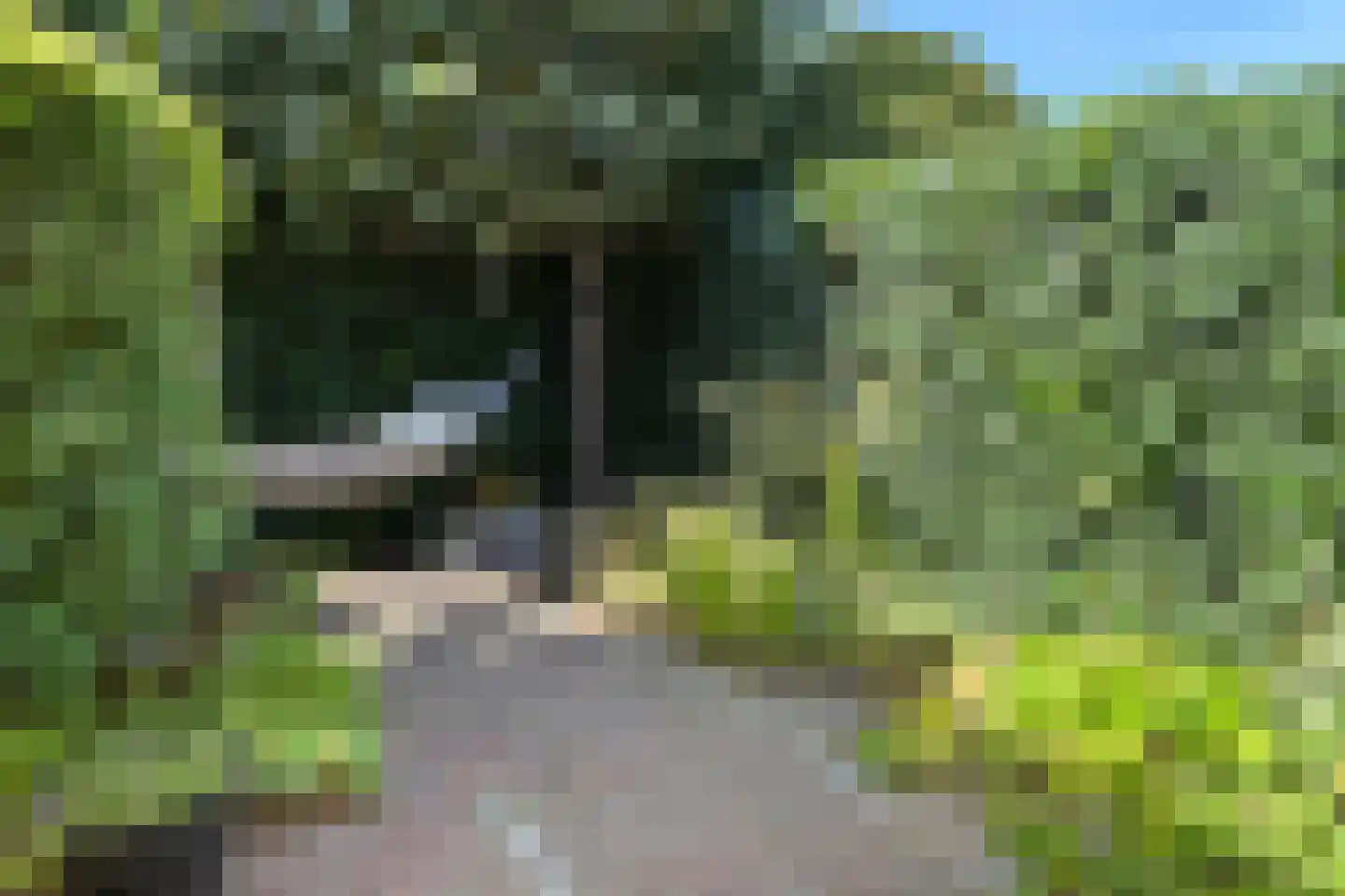 Jan Bontelaan 7 Haarlem thumbnail 32