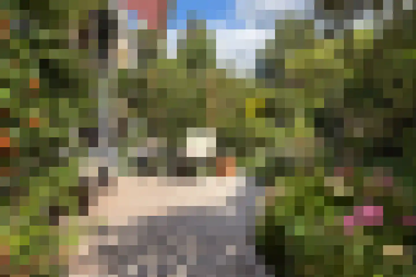 Jan Bontelaan 7 Haarlem thumbnail 33