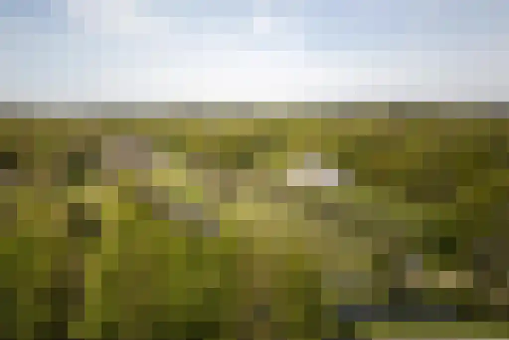 Jan Bontelaan 7 Haarlem thumbnail 37