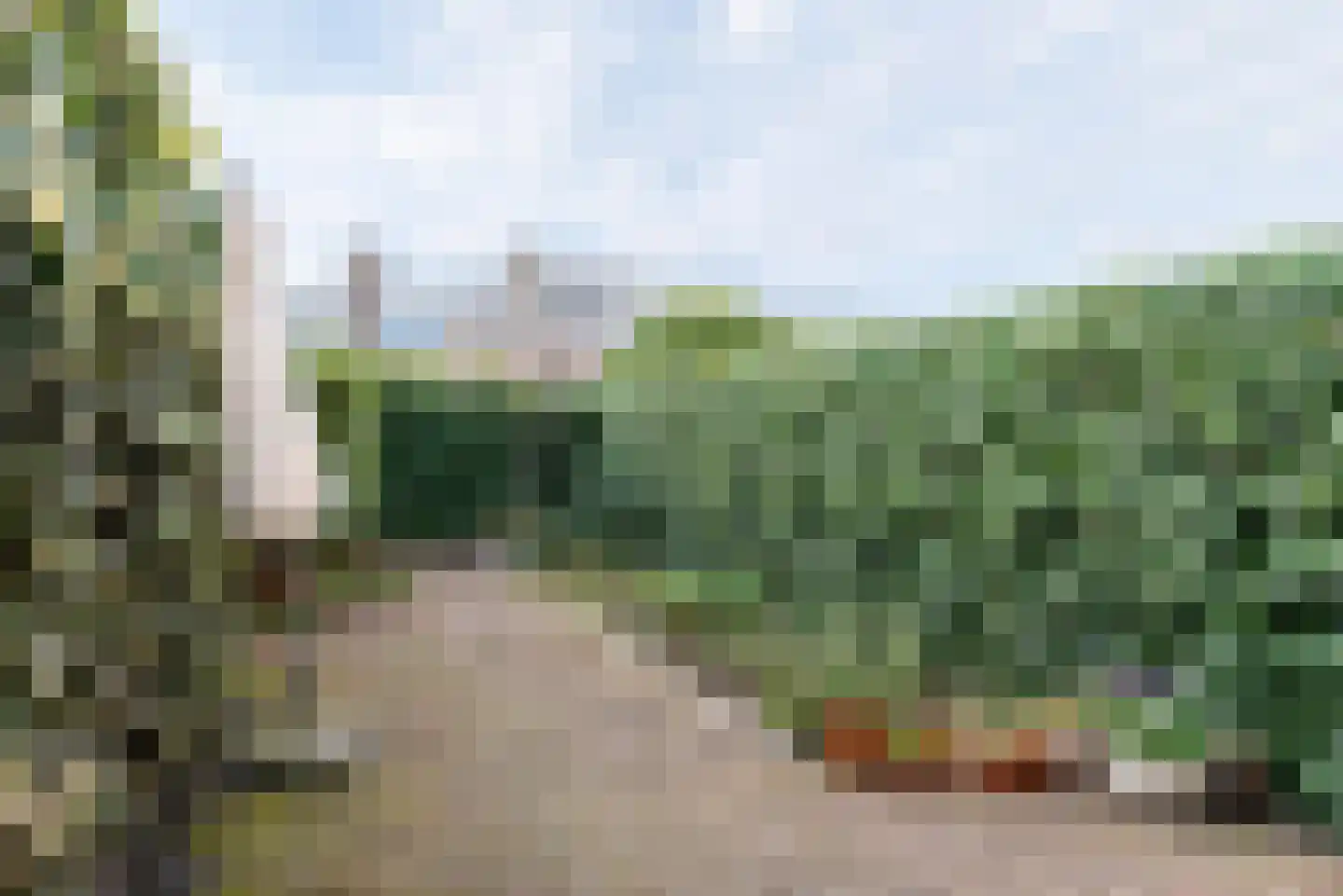 Jan Bontelaan 7 Haarlem thumbnail 4