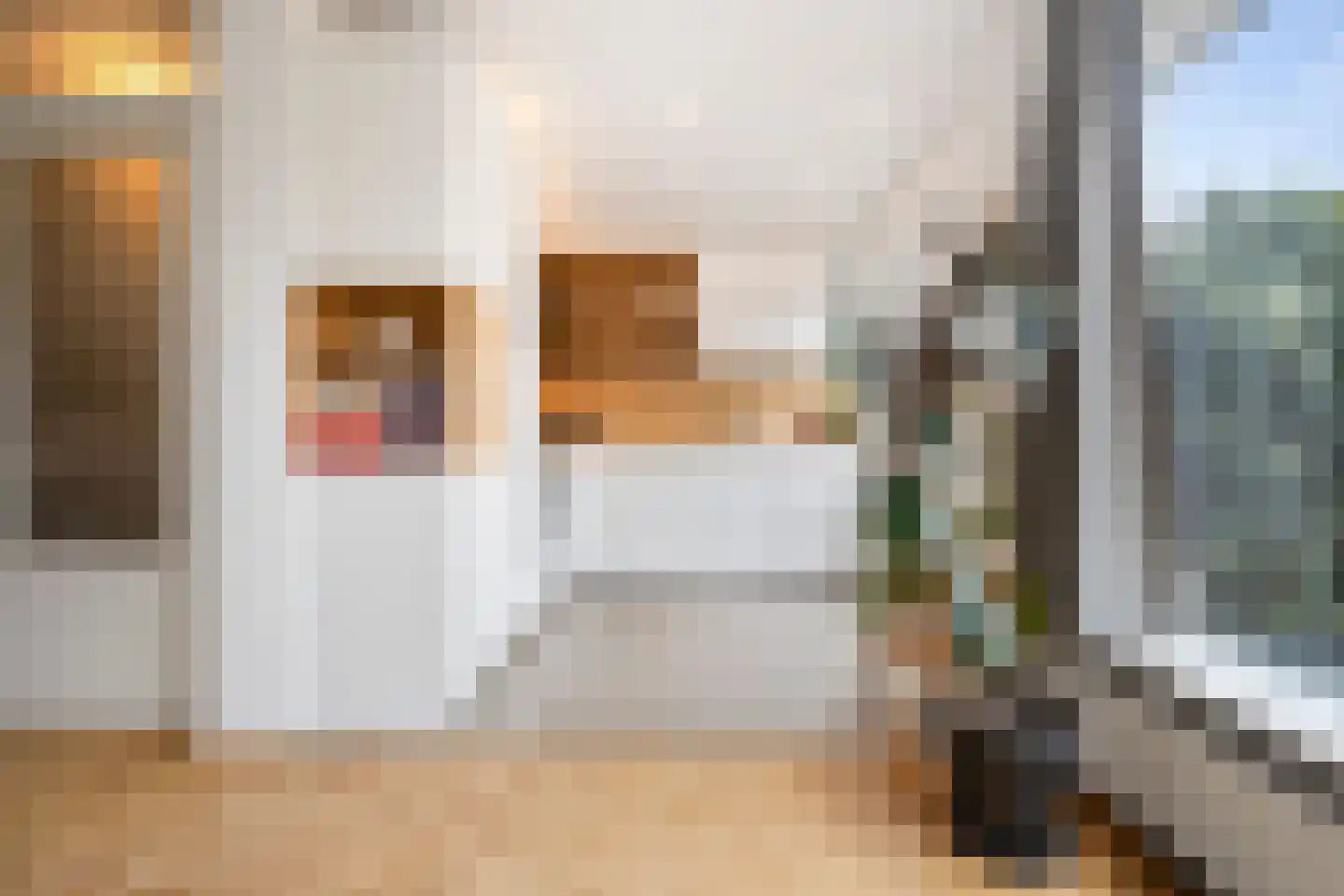 Jan Bontelaan 7 Haarlem thumbnail 9