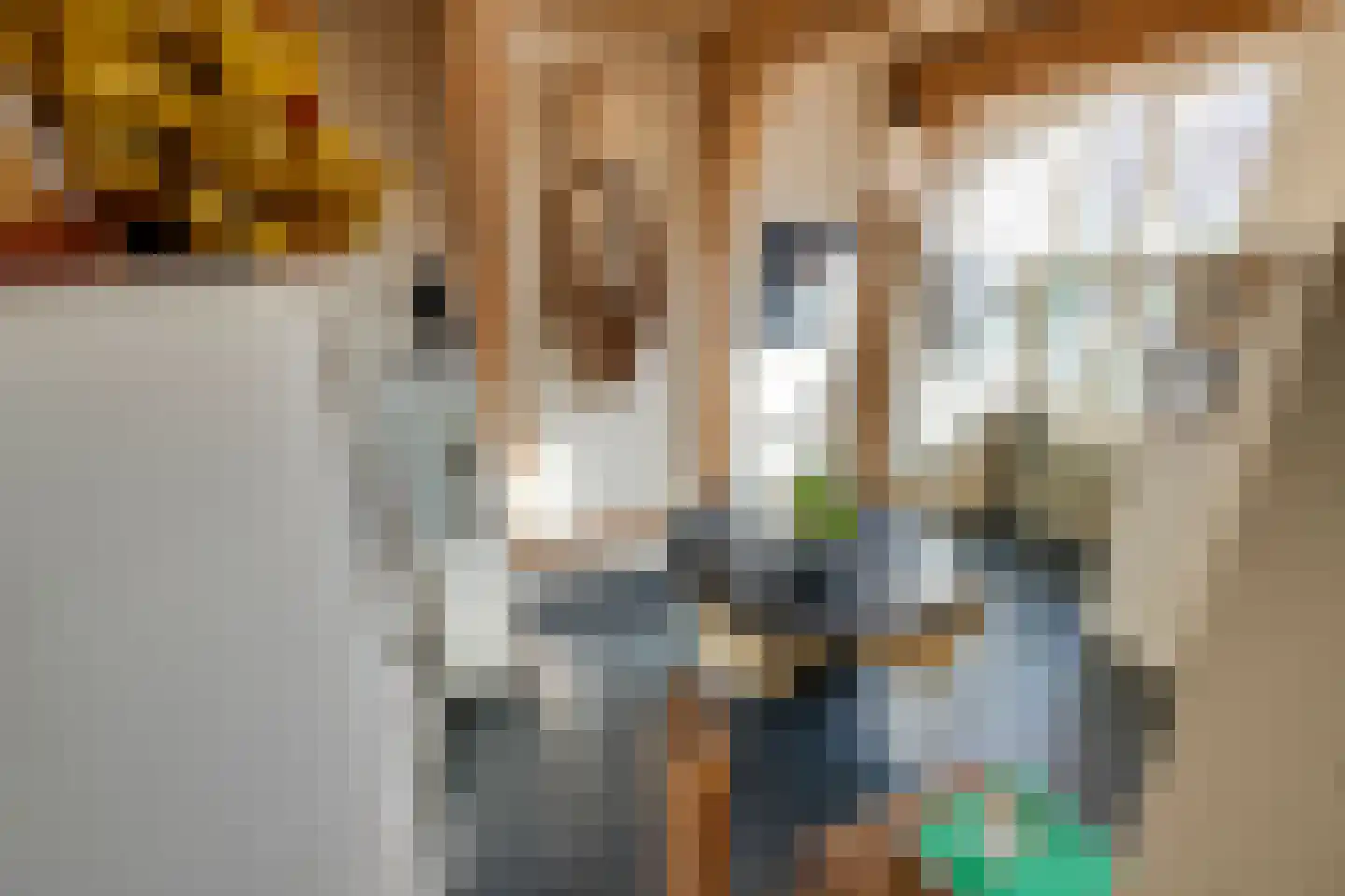 Jan Boonplein 2 De Rijp thumbnail 10