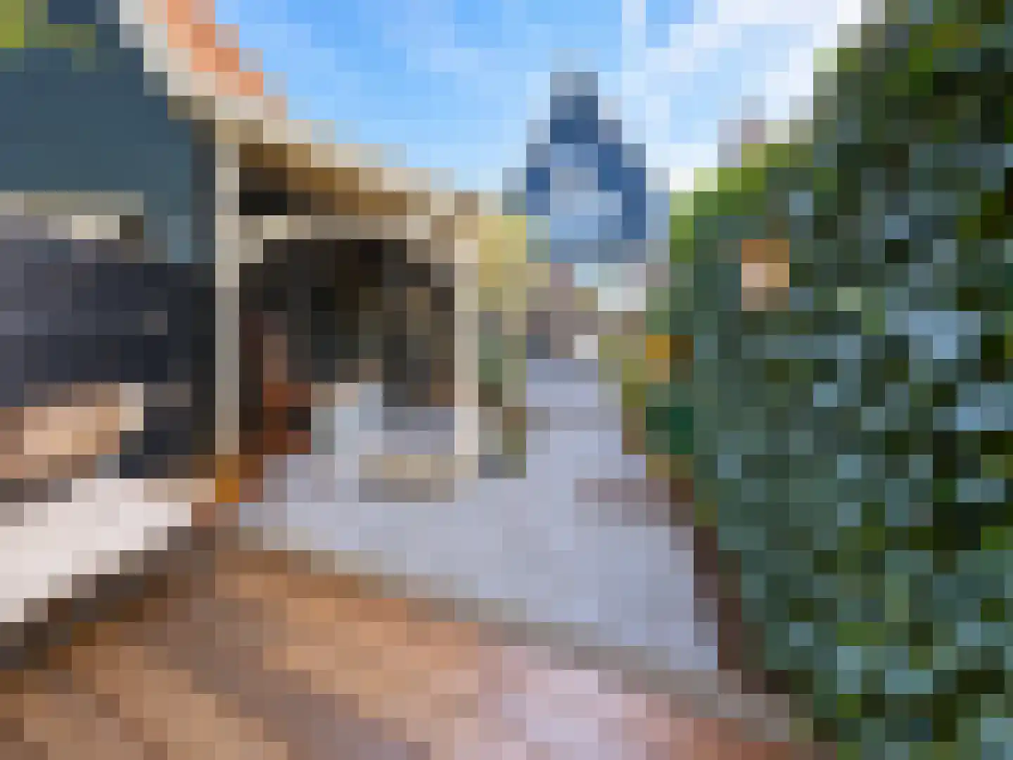 Jan Boonplein 2 De Rijp thumbnail 23