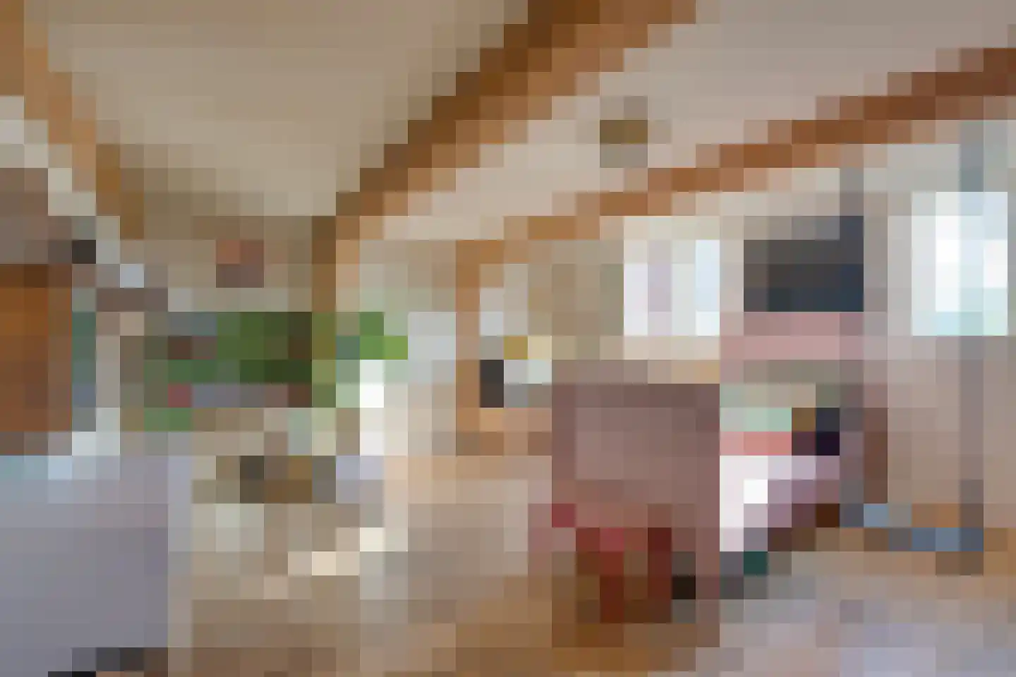 Jan Boonplein 2 De Rijp thumbnail 27