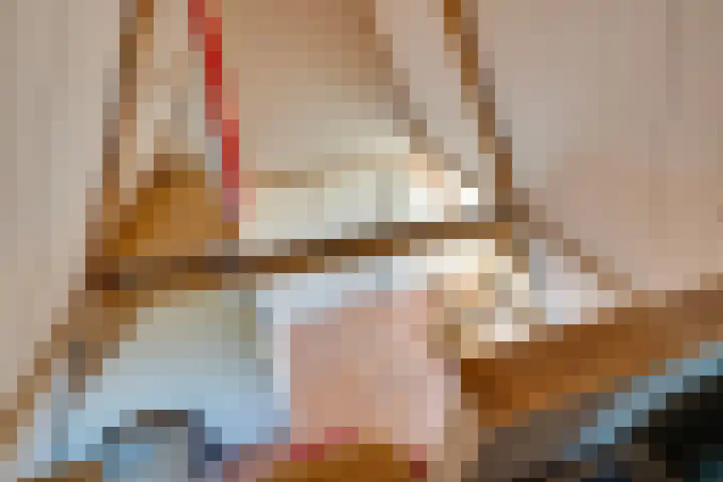 Jan Boonplein 2 De Rijp thumbnail 43