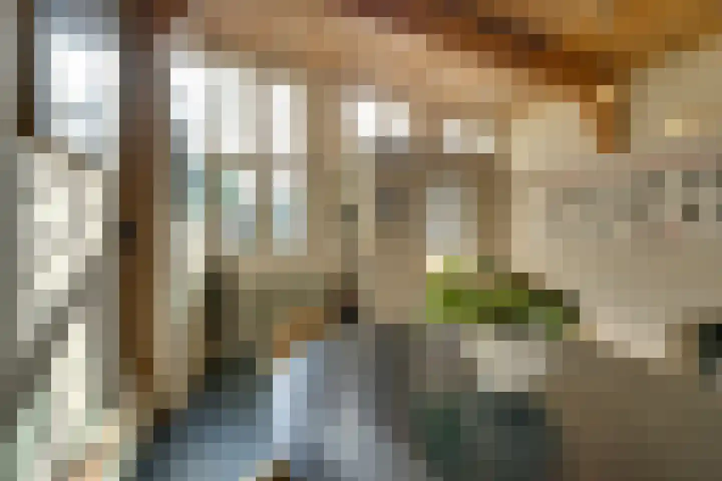 Jan Boonplein 2 De Rijp thumbnail 6