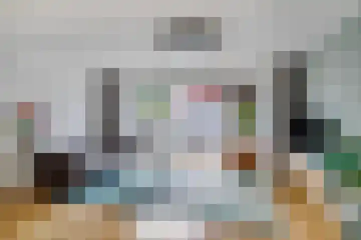 Jan Bootlaan 6 Den Haag thumbnail 11
